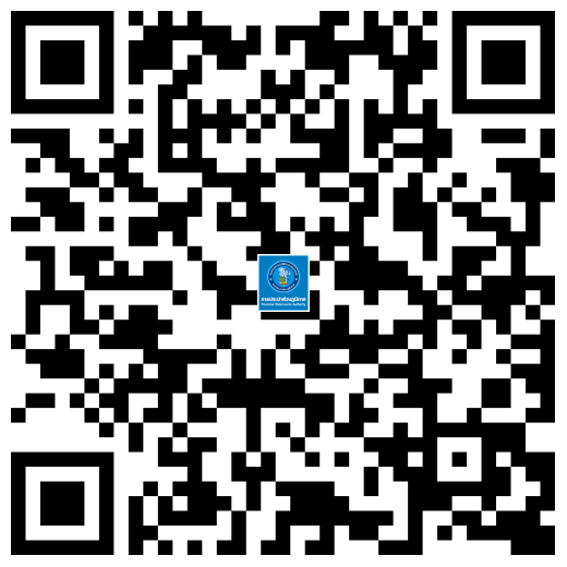 Digital Governance